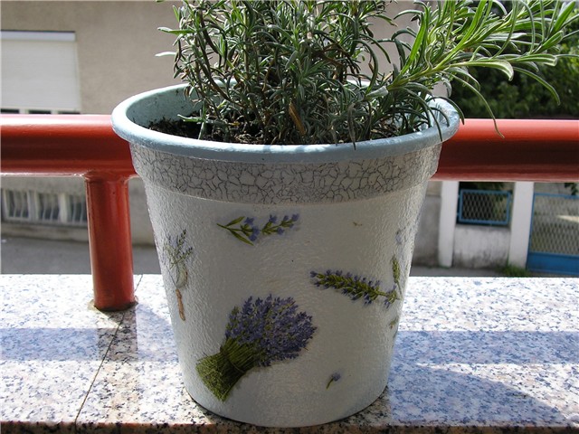 slika009